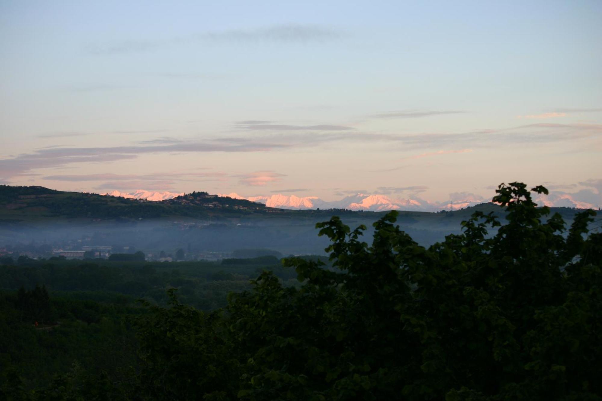 Cascina La Corte Bed and Breakfast Neive Exteriör bild