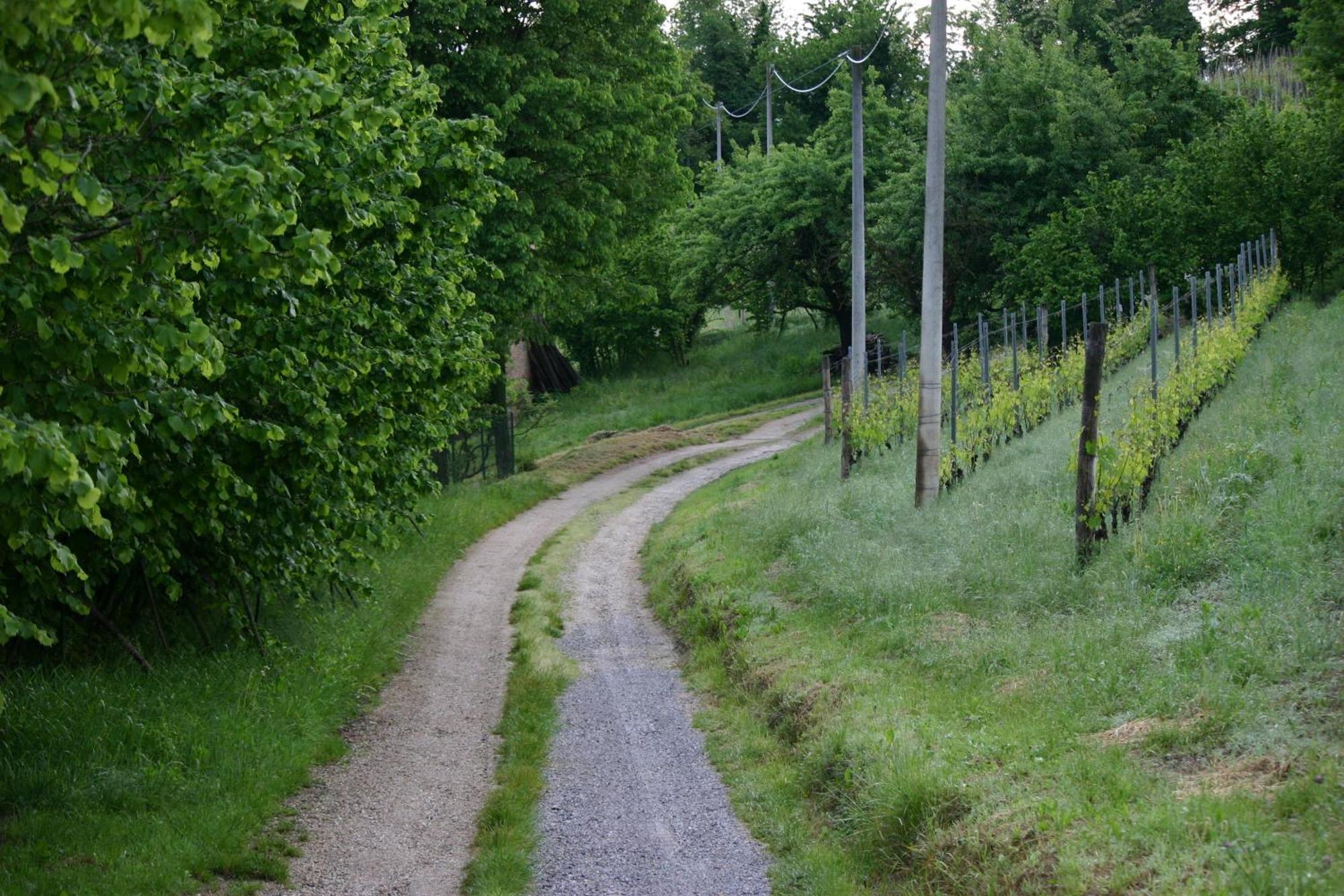 Cascina La Corte Bed and Breakfast Neive Exteriör bild