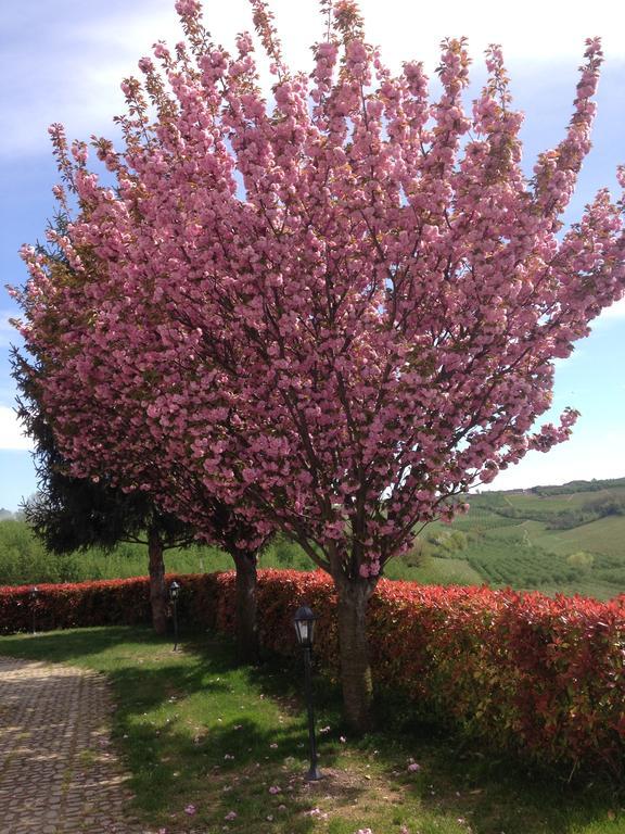 Cascina La Corte Bed and Breakfast Neive Exteriör bild